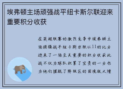 埃弗顿主场顽强战平纽卡斯尔联迎来重要积分收获